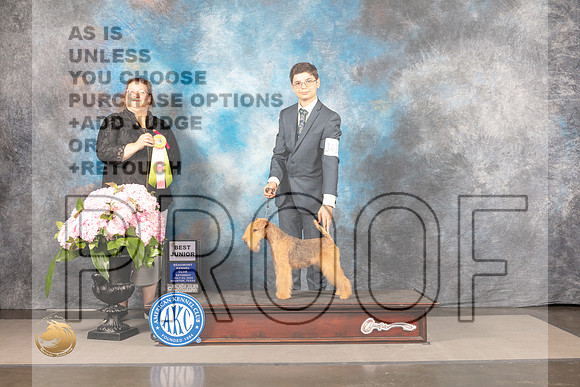 Lakeland Terrier #J418 Sun BJr Judge Fortner Jackson_MJ_7779_Houston_2022_HR3