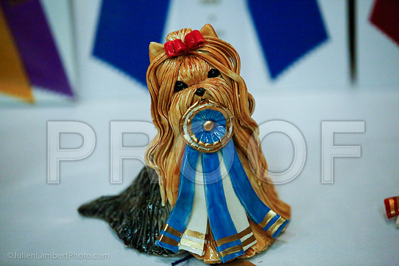 _JJ_9556-YorkieNatJul2016-HR3
