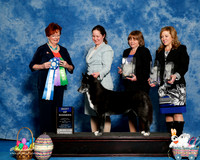 #10 Sat WB Michelle Bigelow Judge Sandy Weaver Carman