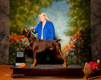 Doberman Pinscher #11 Sat Custom Jeanne Field Miller
