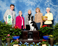 Border Collie #92 Fri High Combined Dandra Davis Jduge Ronnie Bizer