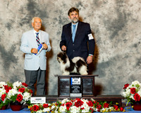 Havanese #15 Sun Maj BOW Lucas Patricia David and Darlene Scheiris Agnet David Scheiris Judge Norman Patton