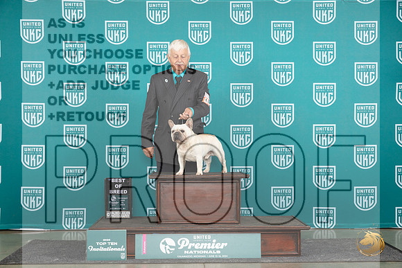French Bulldog #1162 Thurs Top10BOB Judge Sharon Griffin__JP_0839_Premier_2024_HR3