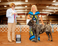 Mastiff #6 Sat RWB Weese Cindy and Elise Slone Judge Grace Fritz