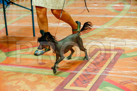 _JJ_8432-SanMarcosAug2016-HR3