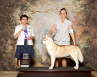 Siberian Husky #6 Fri WB Hoover Kathy and Bruce Judge Cindy Meyer