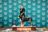 Catahoula #286 Fri G1 Judge Kathrine Short