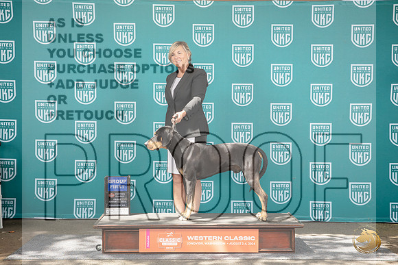 Catahoula #286 Fri G1 Judge Kathrine Short__JP_1184_Longview WA_2024_HR3