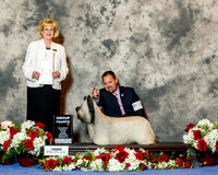 Skye Terrier #5 Sat G4 Ahuja Shalini k and kelly Case Judge Vicki Abbott