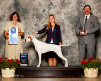Ponter #6 Sun G1 Johston Jane MeganLane John Kearney Richard Agetn Megan Johnston Lane Judge Danelle Brown