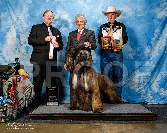 _ST_4623-2-AfgBeltonOct2014-HR3