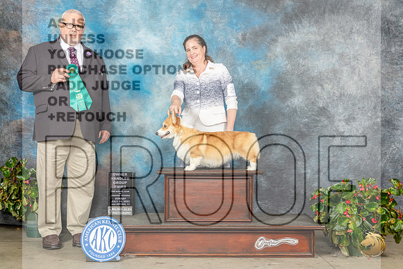 Pembroke Welsh Corgi #26 Sun OHG3 Judge David KirklandMJP_0415_SA2023_HR3