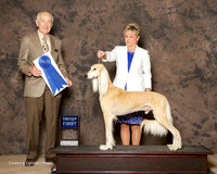 Saluki #9 Sat G1 Middlebrooks s and T Turley Kocab M Kocab Agent Erin Roberts Judge Roger Hartinger