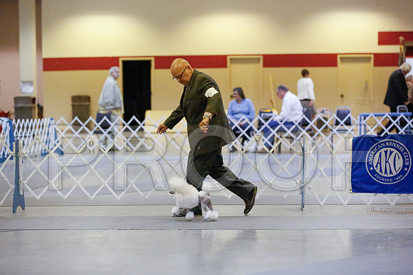_JN_7951-AmarilloSept2014-HR3