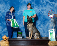 German Shepherd Dogs #R16 Sun High Comb Barnett Linda Louise Judge Mrs Linda Scanlon