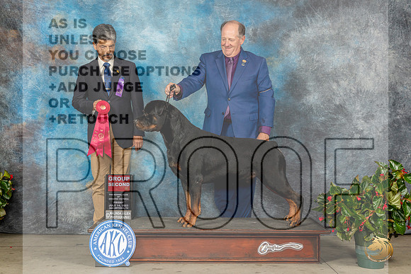 Rottweiler #7 Fri G2 Judge Dr Antonio MolinaMJP_8218_SA2023_HR3