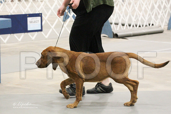 BloodH-4712LR