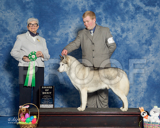 _R1_8302-HuskySltyMar2016-HR3