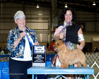 Norwich #19 Fri Maj BOW Happersett Hal and Roxanne Sutton Judge Anne Katona
