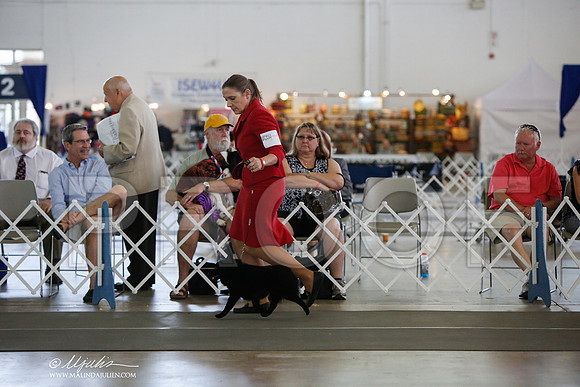 _JJ_2499-DallasJul2014-HR3