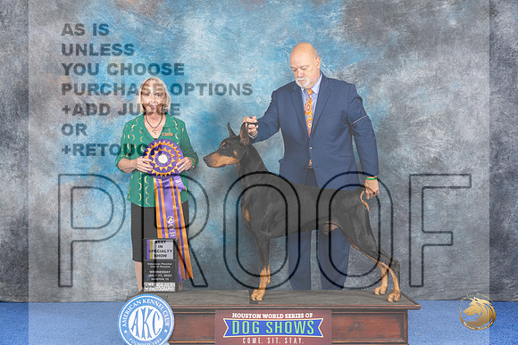 Doberman #7 WED BOB Judge Alisa Brotherhood__JP_6665_Houston_2024_HR3