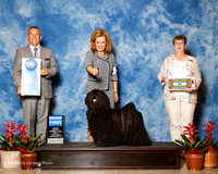 Pulik #5 Fri G1 Charles E and Beaudoin L Pitts and Kellpy And Huebner Agent Linda Pitts Judge Dana Cline
