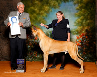 Great Dane #5 Sat G1 Neet Cynthia and John Neet Judge Brian Meyer
