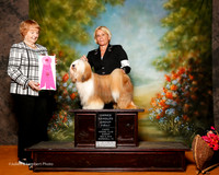 Tibetan Terrier #5 Sun OH G1 Mosing Benjamin and Erin Burch and Lesa Pierce Judge Ruth Ronrbach