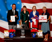 #42 Thurs 4th Opn Bitch Garza Adrian Madero Johanna De Samayoa Judge George Milutinovich