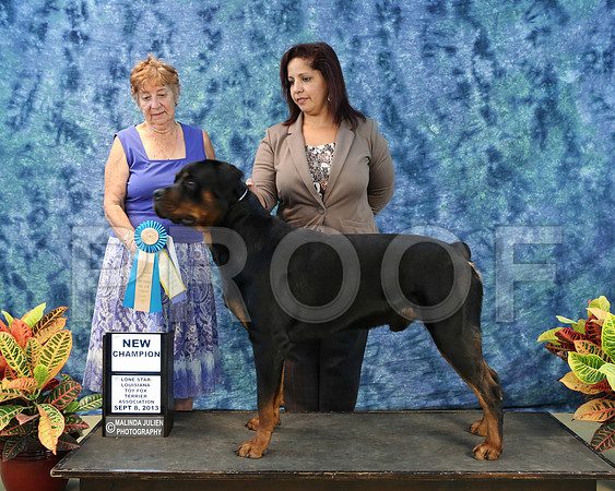Rott-6727-HttoSpt13