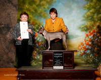 American Hairless Terrier #7 Sun G4 Smith Patricia Judge Cindy Meyer