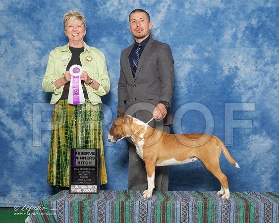 _R1_9428-BullTerrierAzlApr2016-HR3