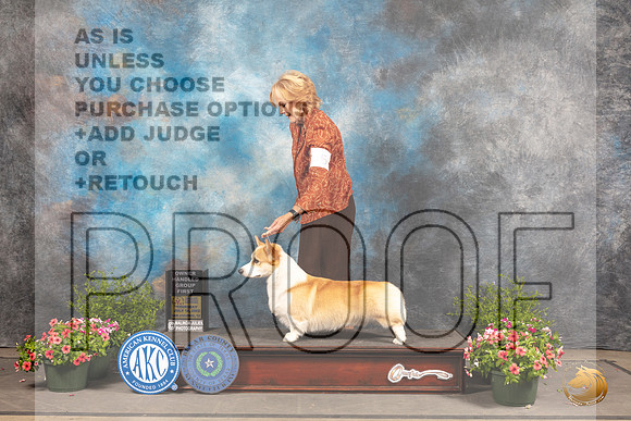 Pembroke Welsh Corgi #5 Sun OHG1 Judge Allen Odom_MJ_1512_SA_2022_HR3