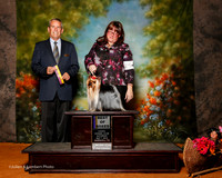 Yorkshire Terrier #25 Sat BOB Fett Rosanne and Llona Rodionova Judge Dana Cline