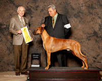 Rhodesian Ridgeback #5 Sat G3 Beckett Janet and John and Kerry Williams Agent Rudy Ayala Judge Roger Hartinger