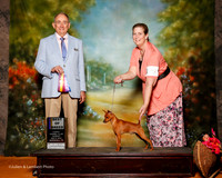 Miniature Pinscher #5 Sun BOB Swilling Rocky and Kim Judge Joe Walton