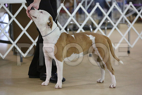 APBT-9956-HR