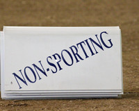 Group Non Sporting Sun Houston Nov 2011