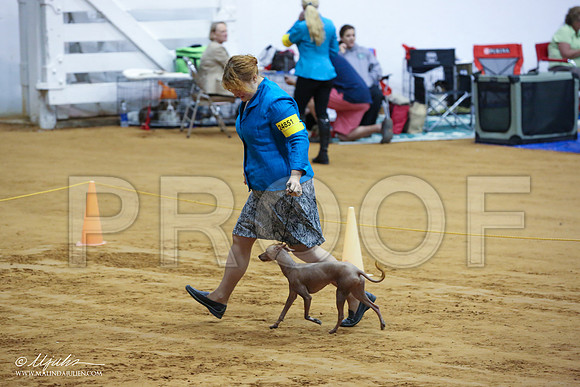 PerroS-4915-IABCAFWSPT13-HR