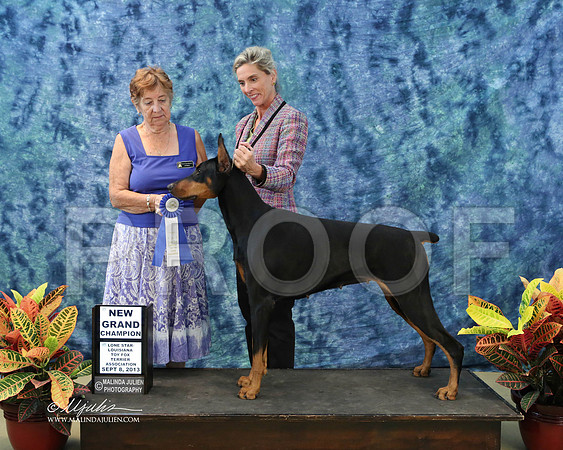 Dobe-6489