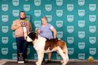 St Bernard #238 Sat RBIS Judge William Chrazanowski