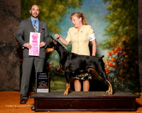 Doberman Pinscher #14 Sat OH G1 Miller Jennifer Judge Dr Geno Sisneros