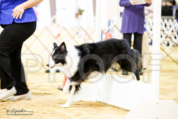 _JJ_4210-ASCACollegeStationNov2014-HR3