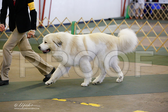 _RH_5813-DntnJun2014-HR3