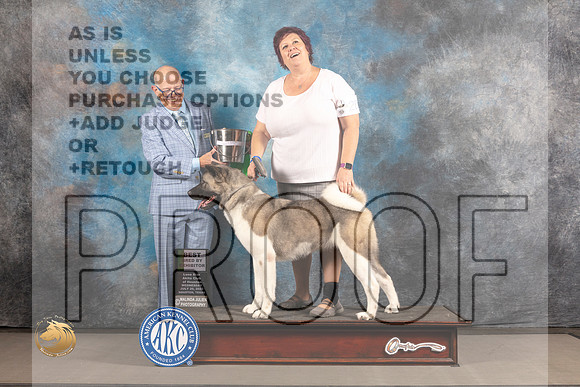 Akita #28 WED BBBE Judge Donald Plummer_MJ_2302_Houston_2022_HR3