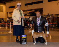 Basenji #23 Sun BOB Behles JD & A Whalen & S Allen