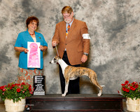 Whippet #8 Sat OH G1 Tatro Harold and Denise Judge Marilyn Pipes