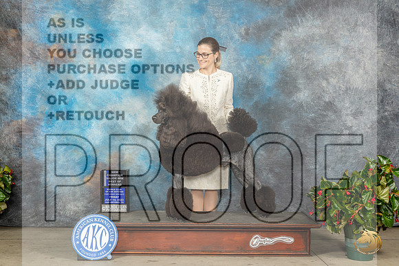 Poodle Std #21 Fri BOWCH Judge Carmen D Blankenship rMJP_8384_SA2023_HR3