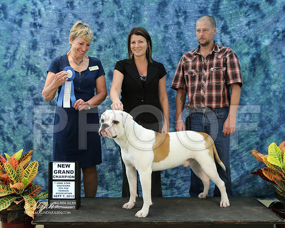 AmBull-6423