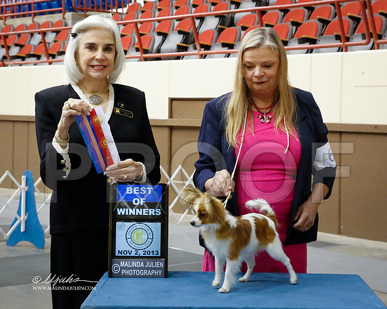 Pap-1214-SANov13-HR